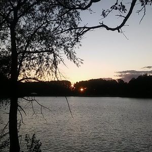 Meet your Posher, Bailey